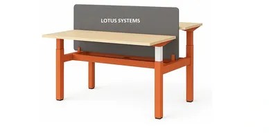 Height Adjustable Training Table