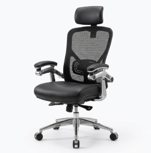Ergonomic Executive Chair