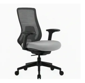 Director Chairs